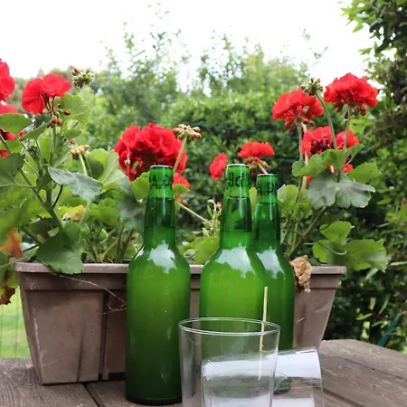 Centrico Costero En Gijón